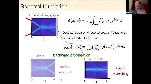 CS03A - Amir Sagiv: Reversibility loss and phase loss in nonlinear optics