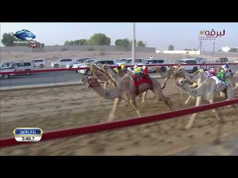 ش10 خلابة ل محمد نايع سالم النعيمي تأهيل المرموم الأسبوع الثالث 29 9 2023ص حقايق بكار 4 35 1