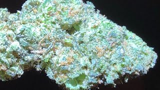 Cannabis review (unknown strain)