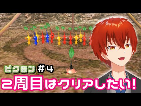 ピクミン１｜どれだけ効率的にやるかの戦い＃4【金剛寺ばるく】