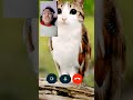 I am trying to play a game #funny