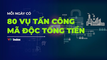 80 vụ tấn công mã độc tống tiền mỗi ngày | VTVIndex