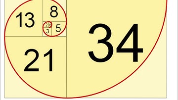 Fibonacci Sequence For Kids