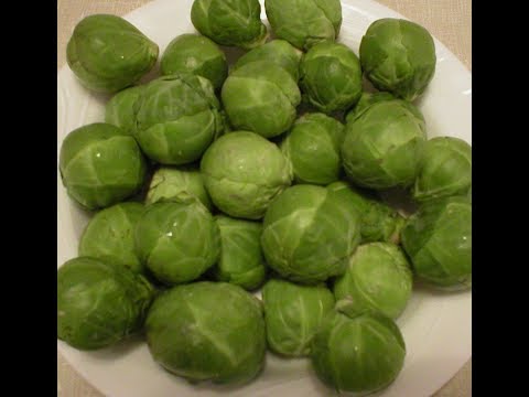 Brussels Sprouts 101- The Basics