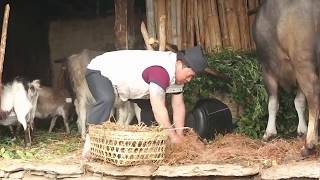 Village life in Nepal(Parbat Lespar)2017