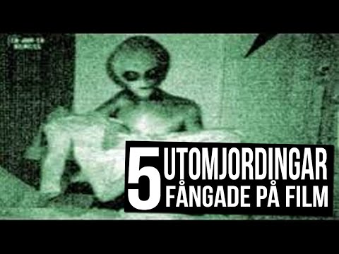 Video: Familjen Stötte På Utomjordingar. Varelserna Höll Gården Under Belägring I Flera Timmar - Alternativ Vy
