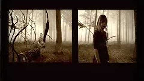 Things Are Not Always As They Seem