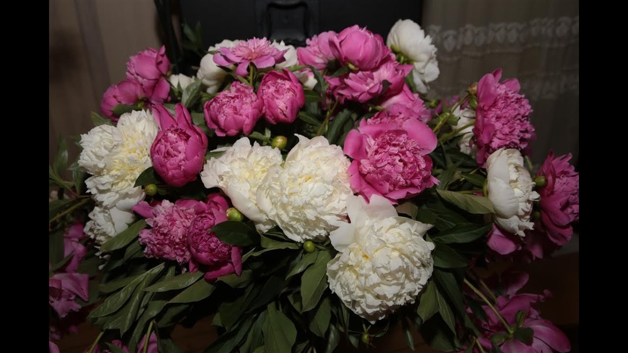 9.klašu izlaidums Smiltenes Centra vidusskolā