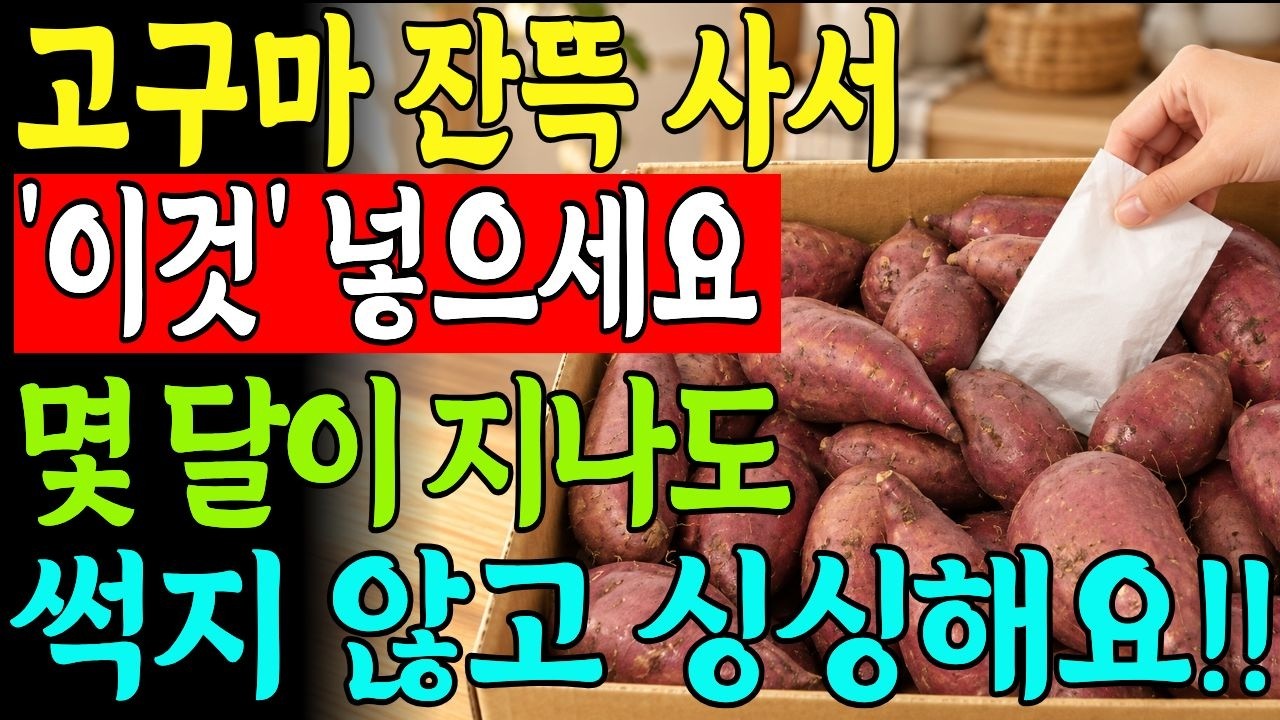 고구마를 보관할 때 '이것' 넣으면 싱싱하게 오래 먹습니다! 신문지 아닙니다! 평생 써먹을 수 있는 싹 안 나고 안 썩는 보관법과 더 달콤하게 먹는 비법까지 모두 담았습니다!
