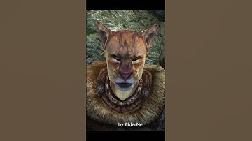 Oblivion Bandit is good.  #gaming #oblivion #npc #tes #elderscrolls #skyrim #gamingmemes