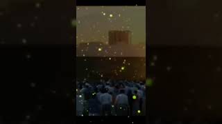 He Shall Separate The Sheep  From The  Goats