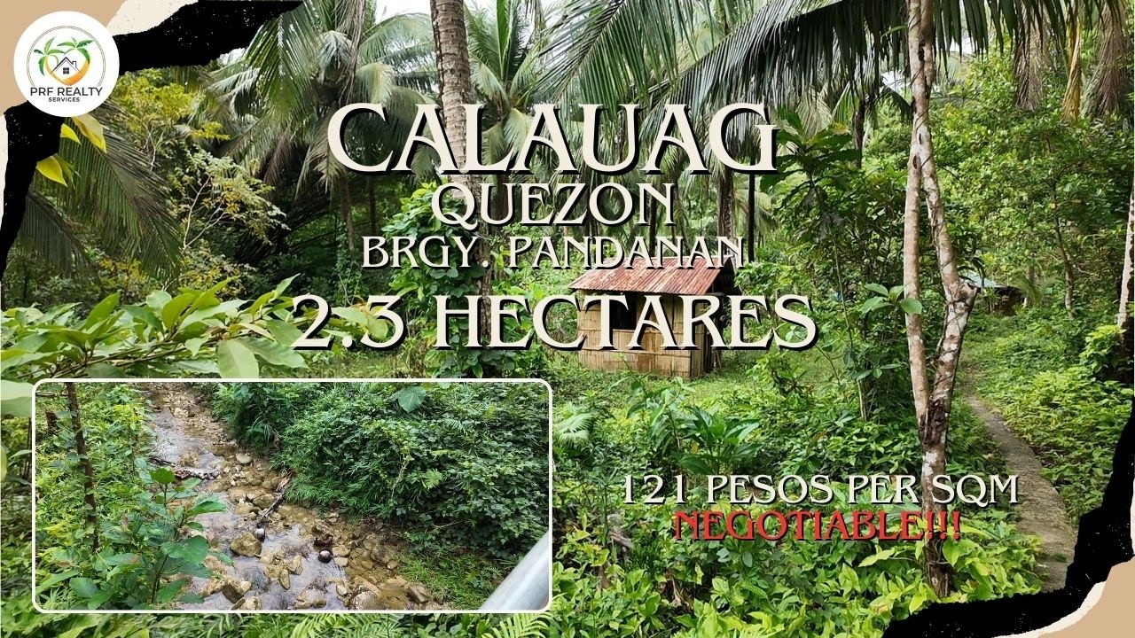 A75 - Property of Calauag | 2.3 Hectares | Good for farmlot