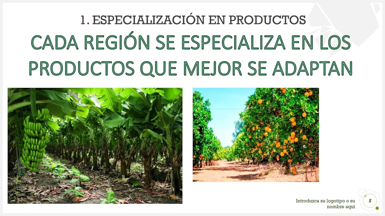 Unidad 5. Sesión 3. La Estructura Agrícola