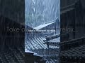 Heavy Rainfall for Instant Calm #rainsounds #relaxation #stressrelief