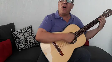 Ay Amigo - Vicente Fernández (cover guitarra)