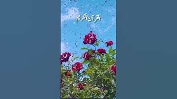 سوره اعراف آیات 204-205.تلاوت قرآن به زبان اردو ❣️✨💯#روند #قرآن