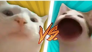 Pop Cat VS Vibing Cat|| street drummer with Pop cat and Viving cat