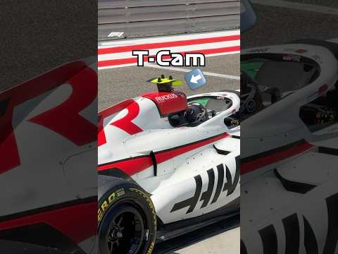 Ever Noticed The Camera Colours? 👀