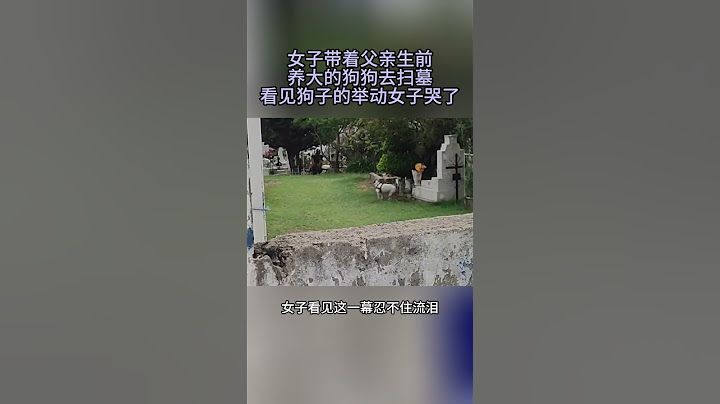 女子带着父亲生前养大的狗狗去祭拜，没想到狗子的举动竟让女子哭了