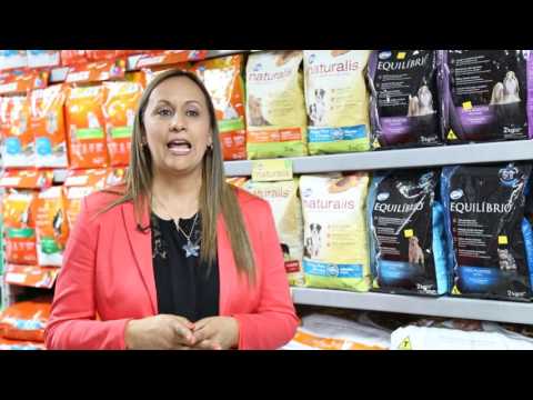 Video: En Defensa De La Comida Premium Para Perros Y Gatos