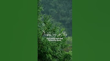 سورة غافر🍃صوت القارئ ياسر الدوسري🌾جزاه الله خيرا