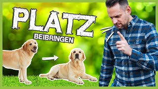 PLATZ beibringen – So legt sich dein Hund aus der Bewegung ab