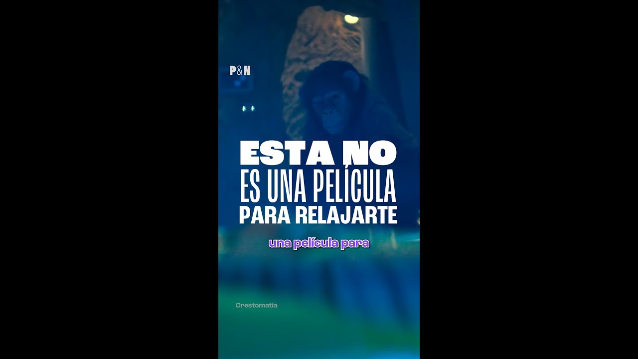 ¡#Primate se estrena mañana! Y aquí verás por qué sí hay que verla. #PalomaYNacho