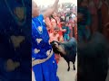 Obhai Kya Hora He Tiktok Viralvideos Ticktock Dance Song Bhojpuridance Neha Desi 