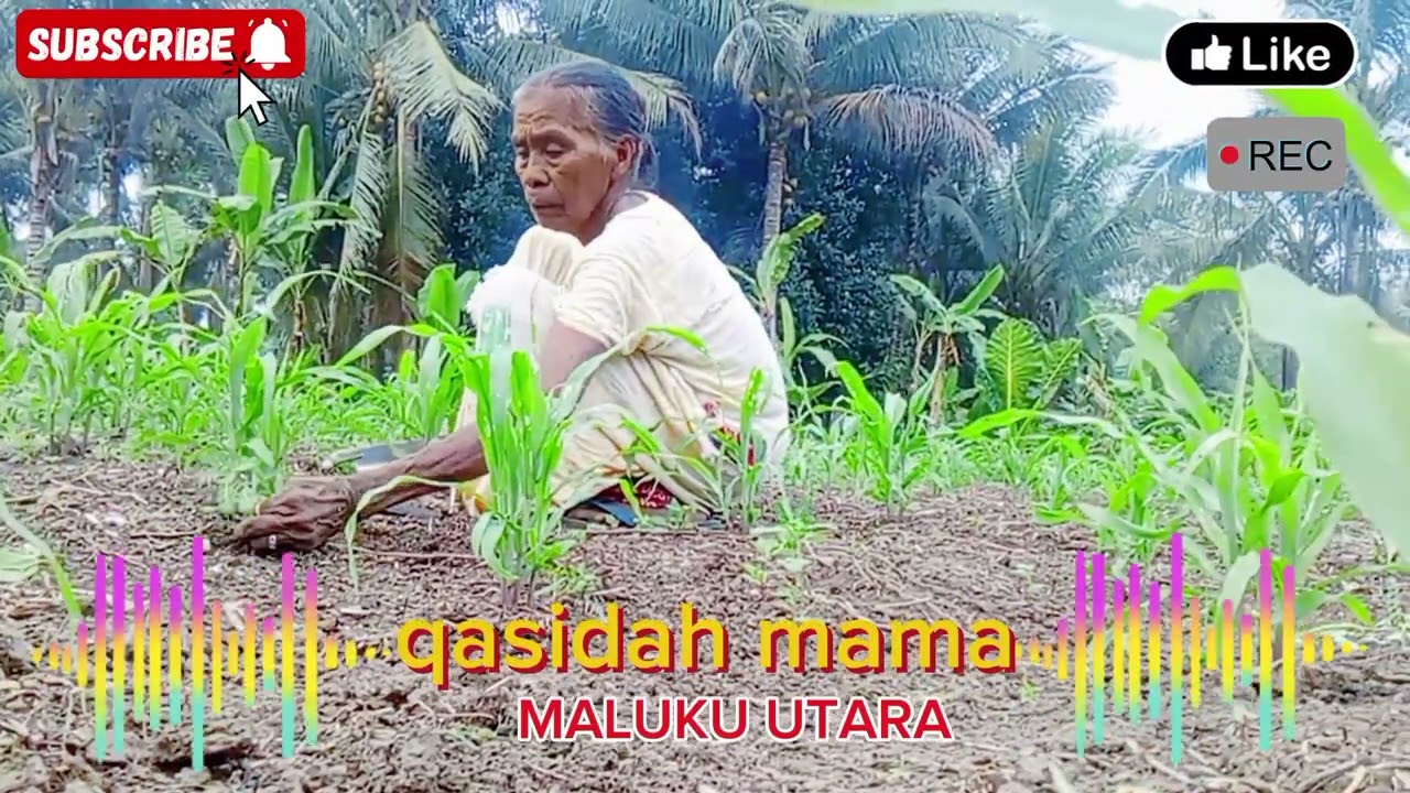 qasidah  terbaru  2025 2026 ✅