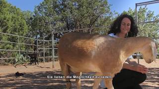 Being With Animals - Trailer