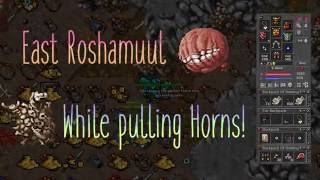 [Tibia] How to Teamhunt ED/EK East Roshamuul while Pulling Horns! 1.5kk/h + PROFIT!