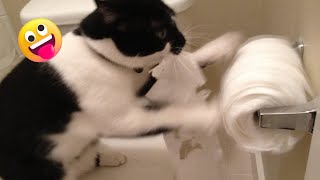 [ 20 minute ] of Funniest Animals 2023 😂- Funny Cats and Dogs 😺🐶