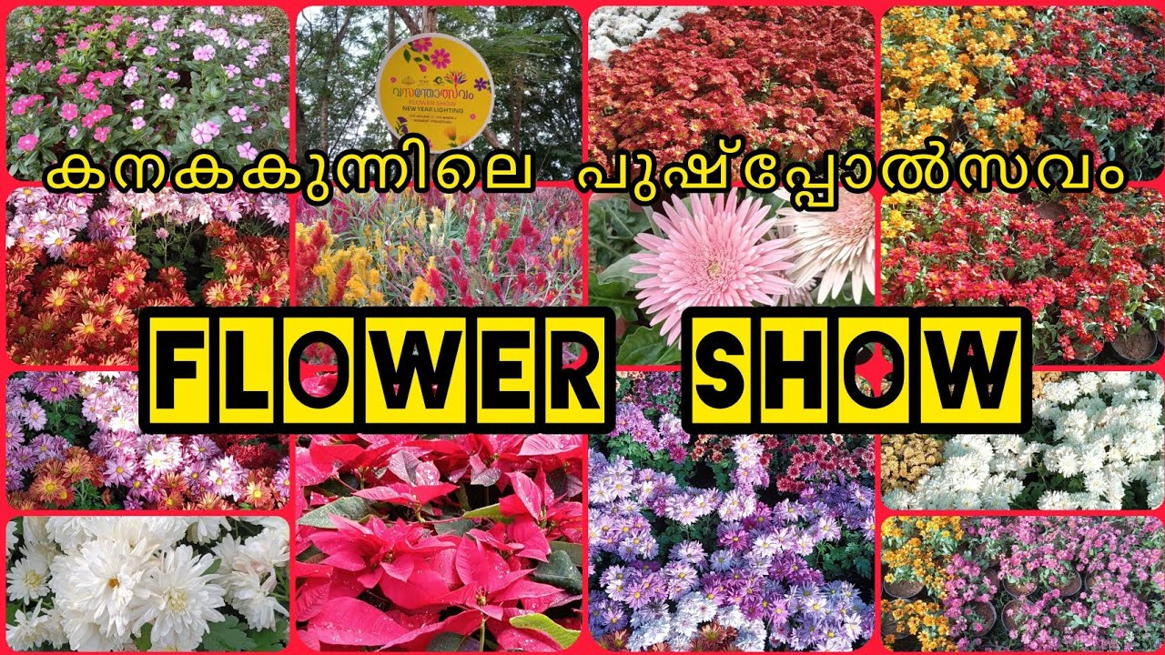 Flower show 😍😍😍😍
