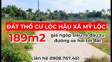 🔴 Bán đất thổ cư đường Mỹ Lộc phước Hậu giá rẻ chính chủ gần vườn lan Út trâm