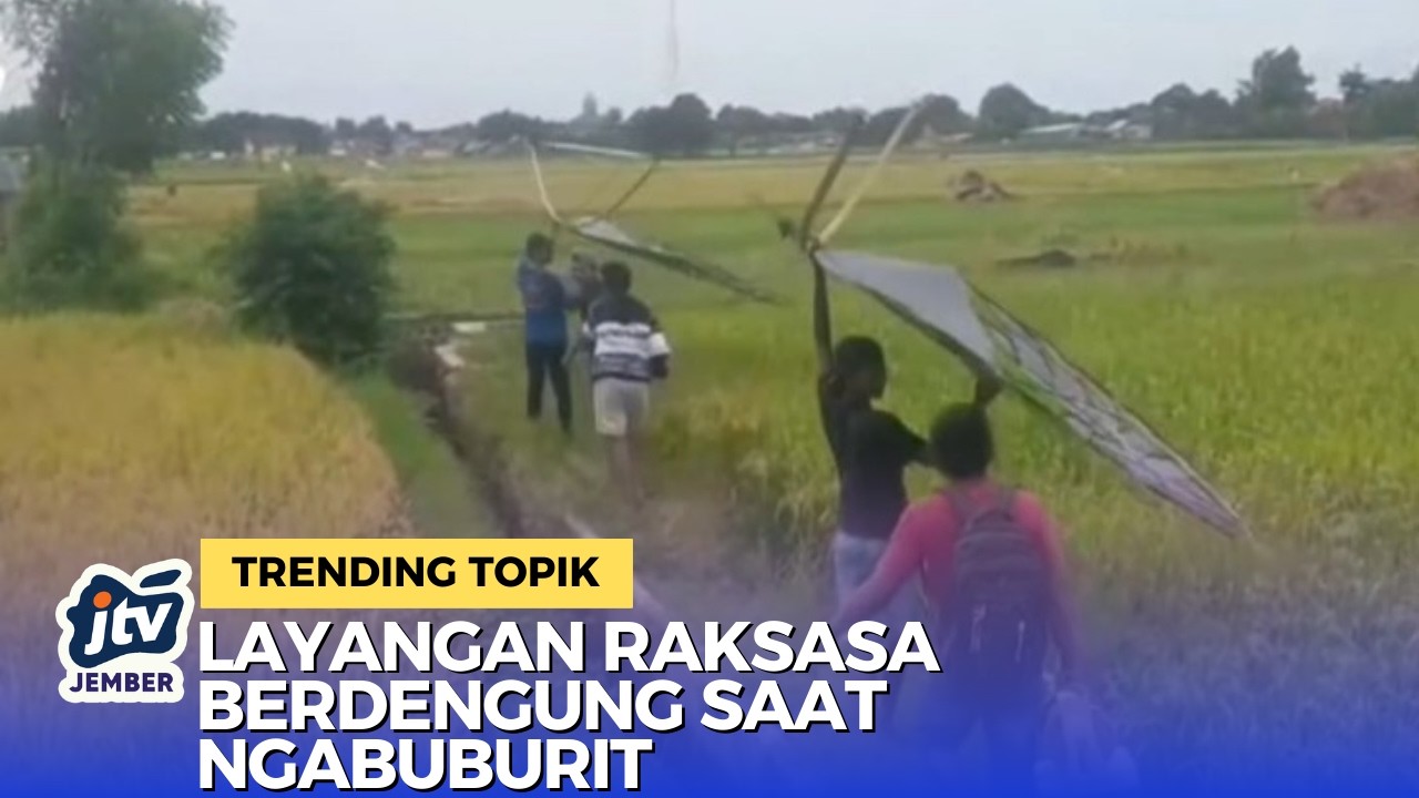Ngabuburit Unik di Situbondo, Layangan Raksasa Bersuara Dengung Merdu
