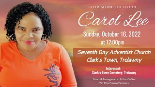 Celebrating the life of Carol Lee