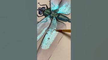 How to draw a dragonfly