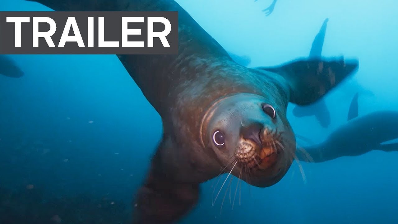 ⁣Blue Planet II Official Trailer 2 | BBC Earth