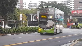 (Hongfu Spring CHA FBA) SG5148M(SEDEP 851) On Service 811 At Yishun Avenue 2