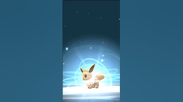 Evolve Eevee into Sylveon (name hack)