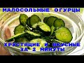 Малосольные огурцы в пакете  Cucumber Salad Fast Recipe