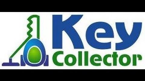 Обучение работе с Key Collector Работа с Yandex Wordstat в Key Collector