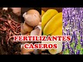 7 Fertilizantes Gratuitos, Caseros y Orgánicos para Tus Plantas