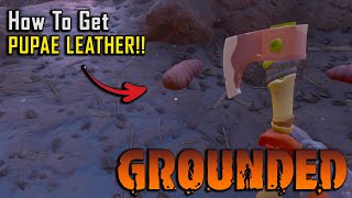 Grounded How To Get Pupae Leather