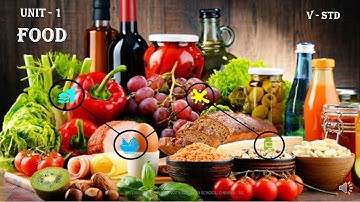 5TH STD SCIENCE FOOD | UNIT-1 (PART-1) | SLN MATRICULATION SCHOOL