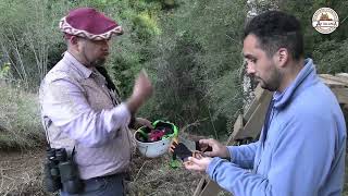 Cabañas Antillanca | Teodoro Schmidt