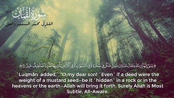 آيات "وصايا لقمان لابنه "" تلاوه خاشعه بصوت القارئ محمد السعيد واصل