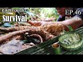 Thử Thách Sinh Tồn Trong Rừng Mưa Một Mình -EP.46 |Survival Alone In The Rainforest