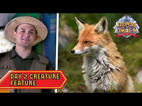 The Crafty Fox! | Keepers of the Kingdom VBS: Day 2 Creature Feature
