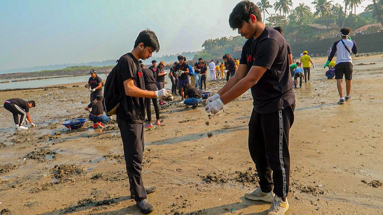 Beach clean up